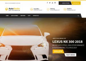 Sviluppo sito internet per acquisto vendita auto