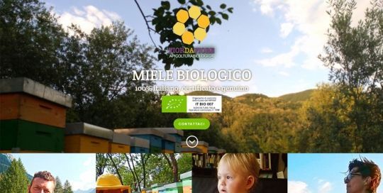 Promuovere il miele biologico in Italia con un sito web